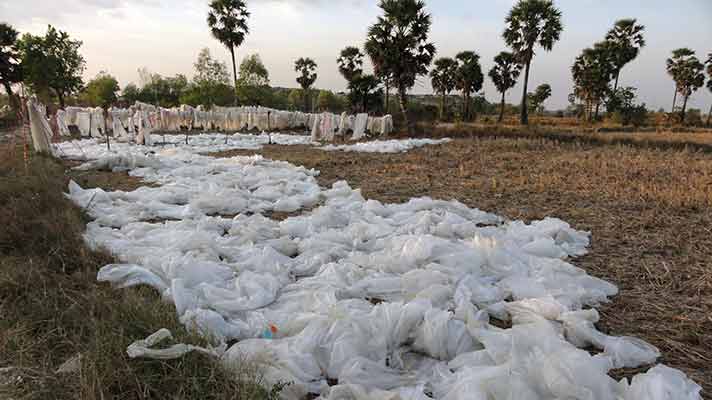 Phnom Penh Dangkor Dumpsite